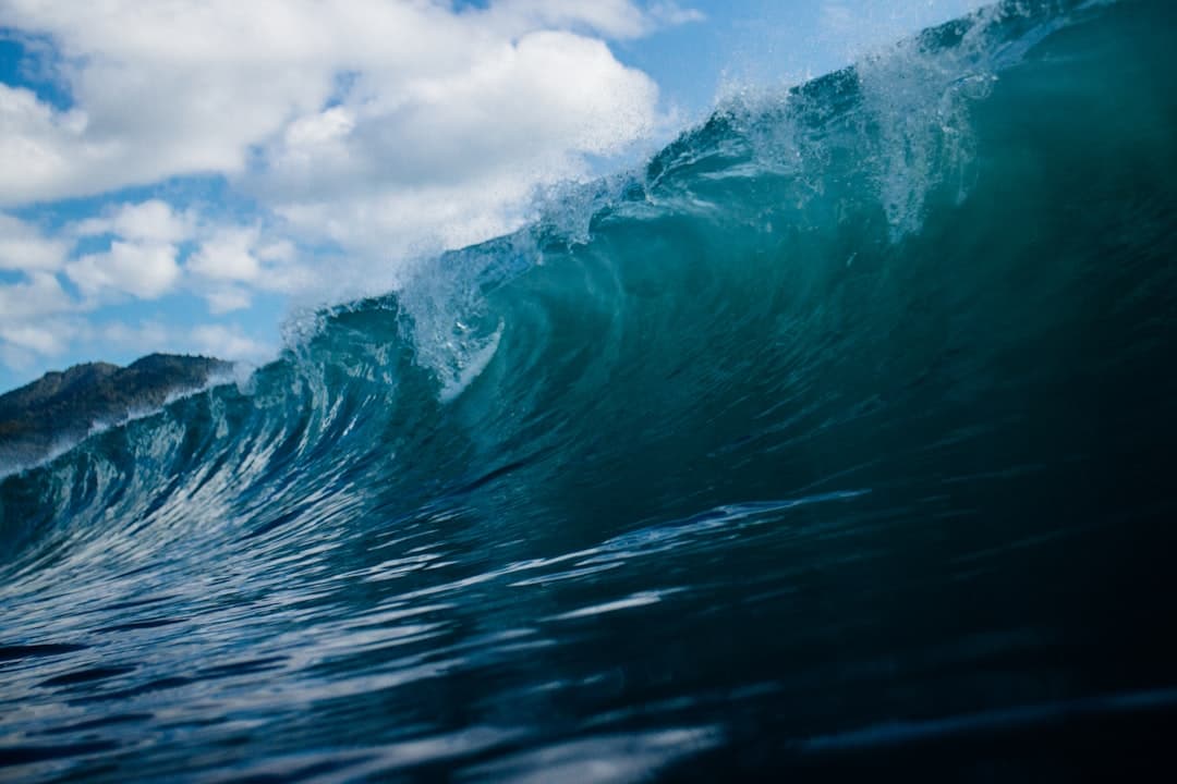 Surfen